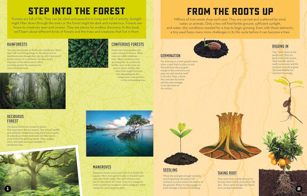 INSIDE OUT FOREST
