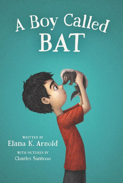 A BOY CALLED BAT