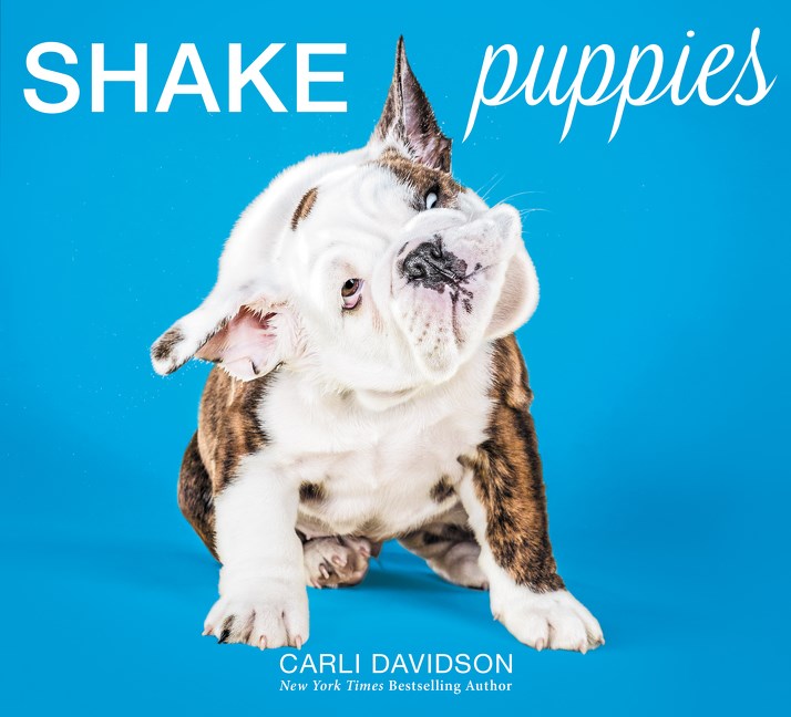 SHAKE PUPPIES