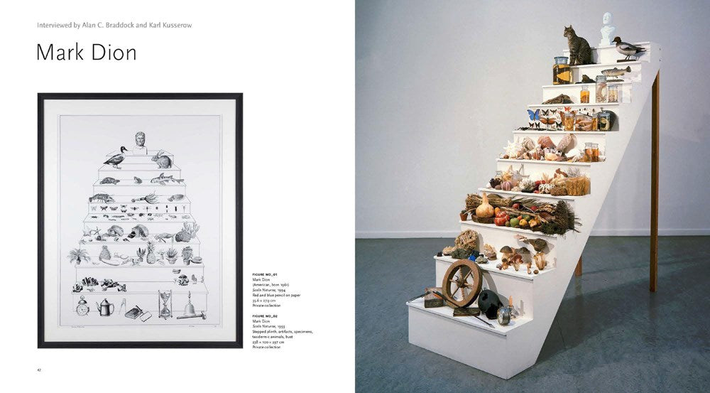 NATURE'S NATION: AMERICAN ART AND THE ENVIRONMENT