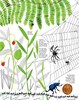 1001 ANTS