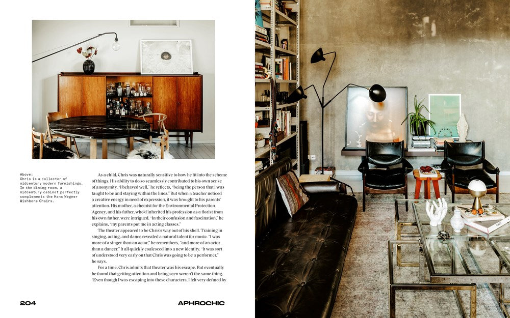 APHROCHIC: CELEBRATING THE LEGACY OF THE BLACK FAMILY HOME