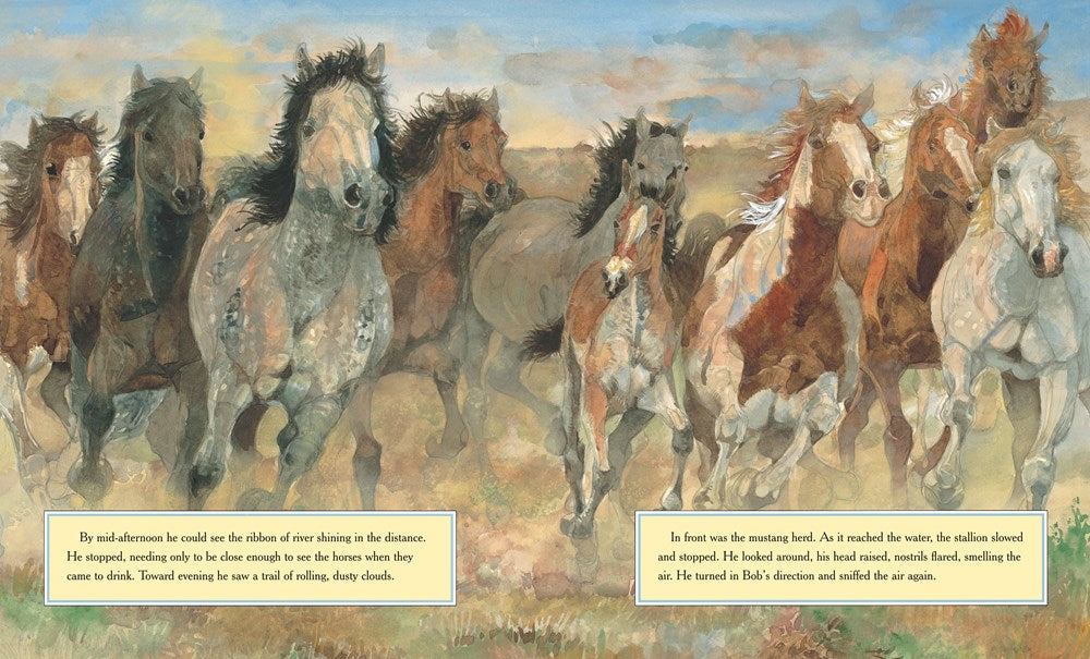 BLACK COWBOY, WILD HORSES