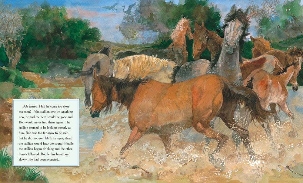 BLACK COWBOY, WILD HORSES