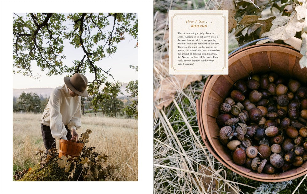 WONDER OF THE WOODLAND: THE ART OF SEEING AND CREATING WITH NATURE
