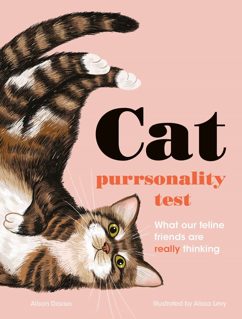 THE CAT PURRSONALITY TEST