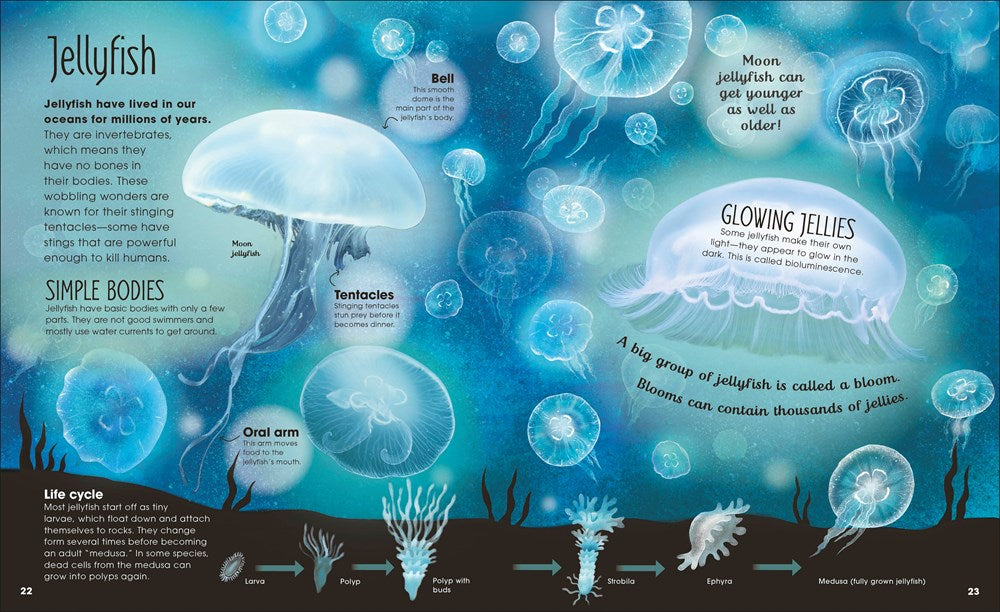 EARTH'S INCREDIBLE OCEANS