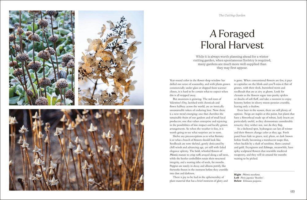 WINTER GARDEN: CELEBRATE THE FORGOTTEN SEASON