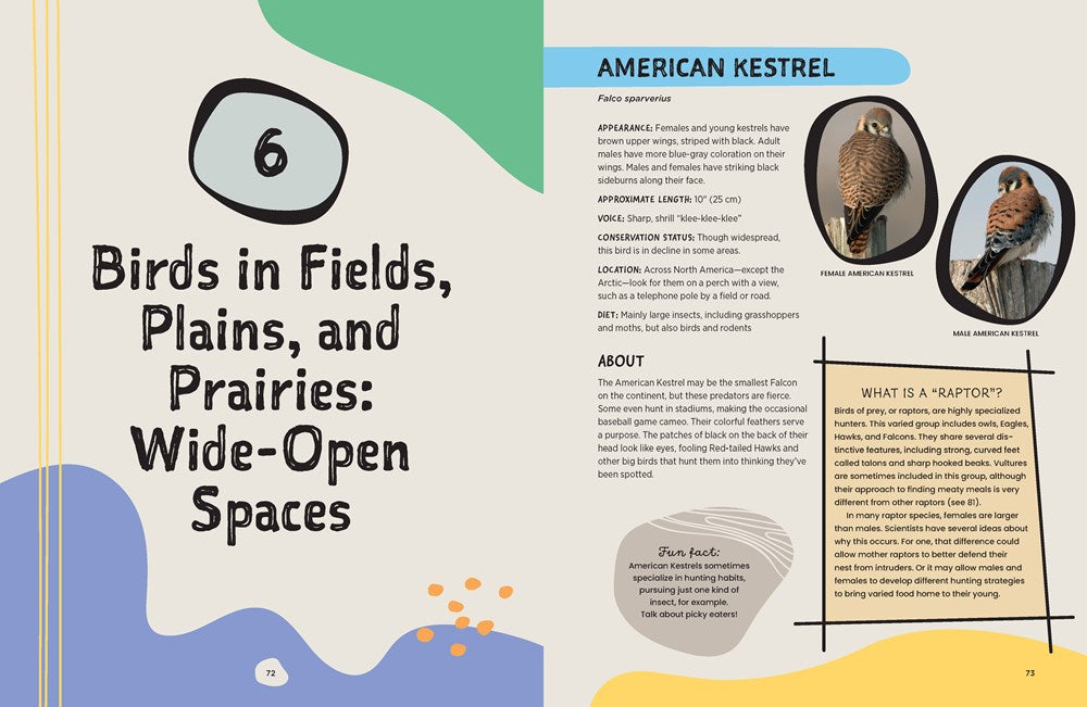 KIDS' FIELD GUIDE TO BIRDS