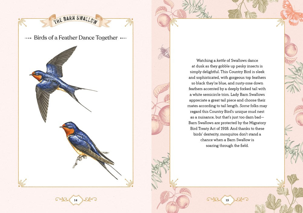 COUNTRY BIRD: EXPLORE THE CHARMING LANGUAGE OF BACKCOUNTRY BIRDSONG