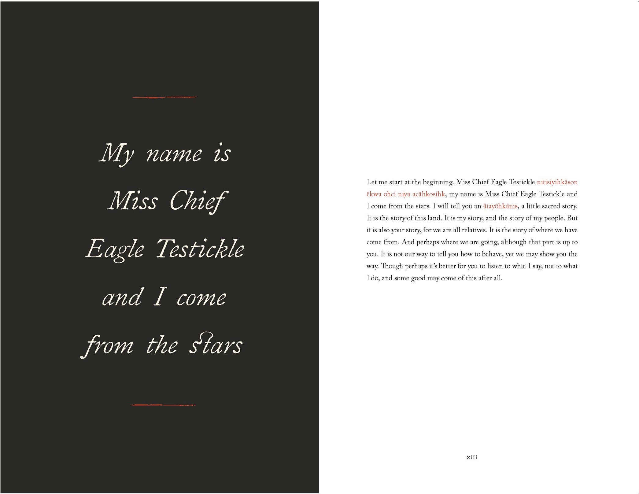 THE MEMOIRS OF MISS CHIEF EAGLE TESTICKLE: VOL. 1