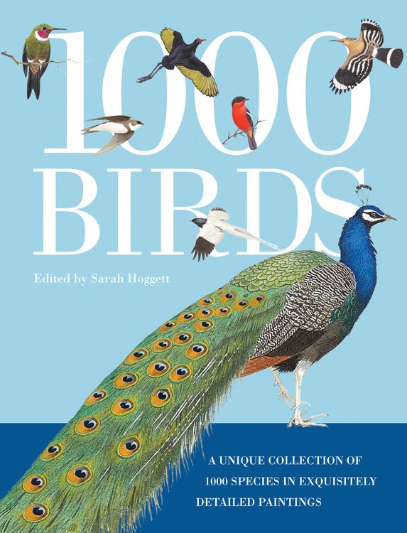1000 BIRDS