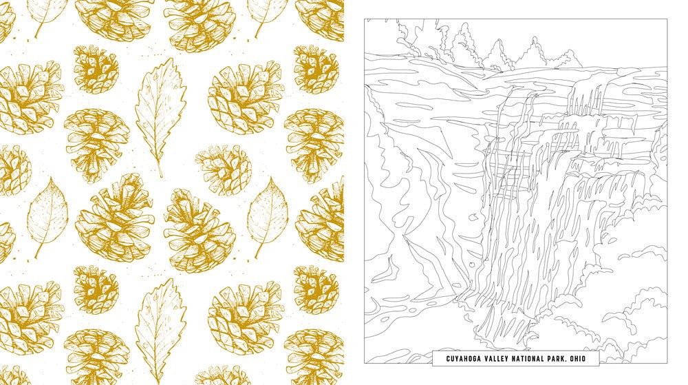 NATIONAL PARKS COLORING BOOK