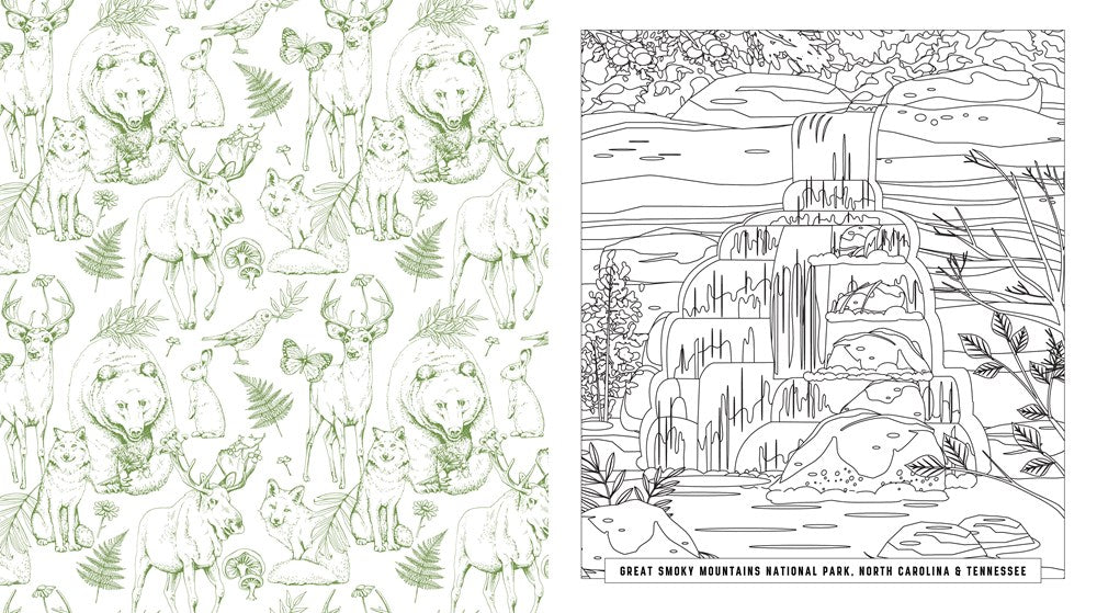 NATIONAL PARKS COLORING BOOK