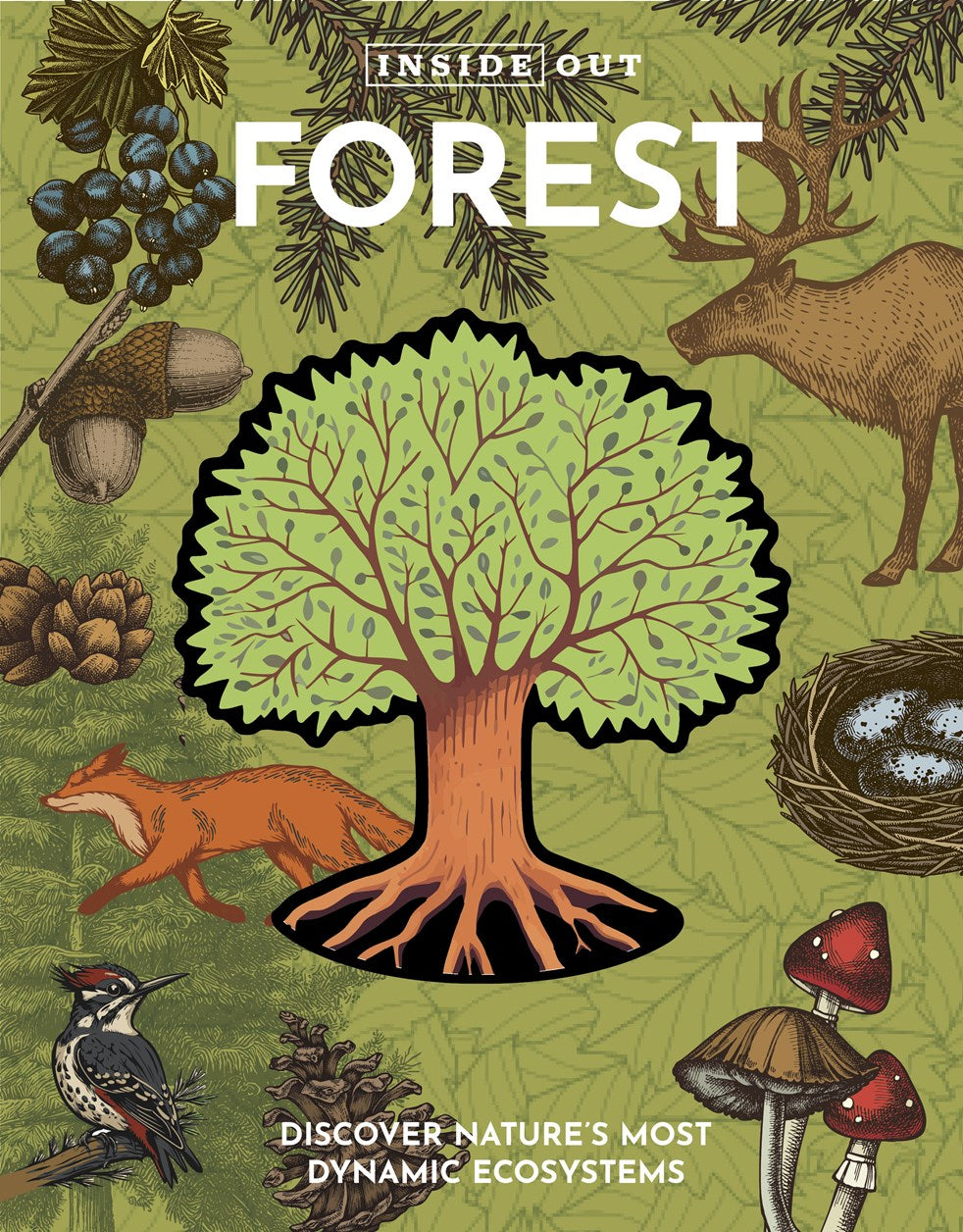 INSIDE OUT FOREST