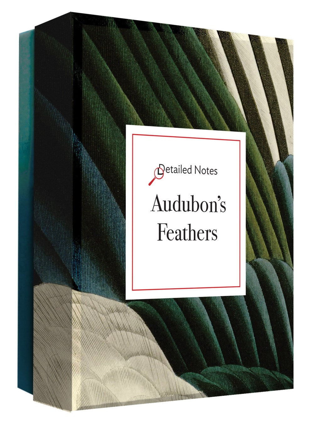 AUDUBON'S FEATHERS NOTECARDS