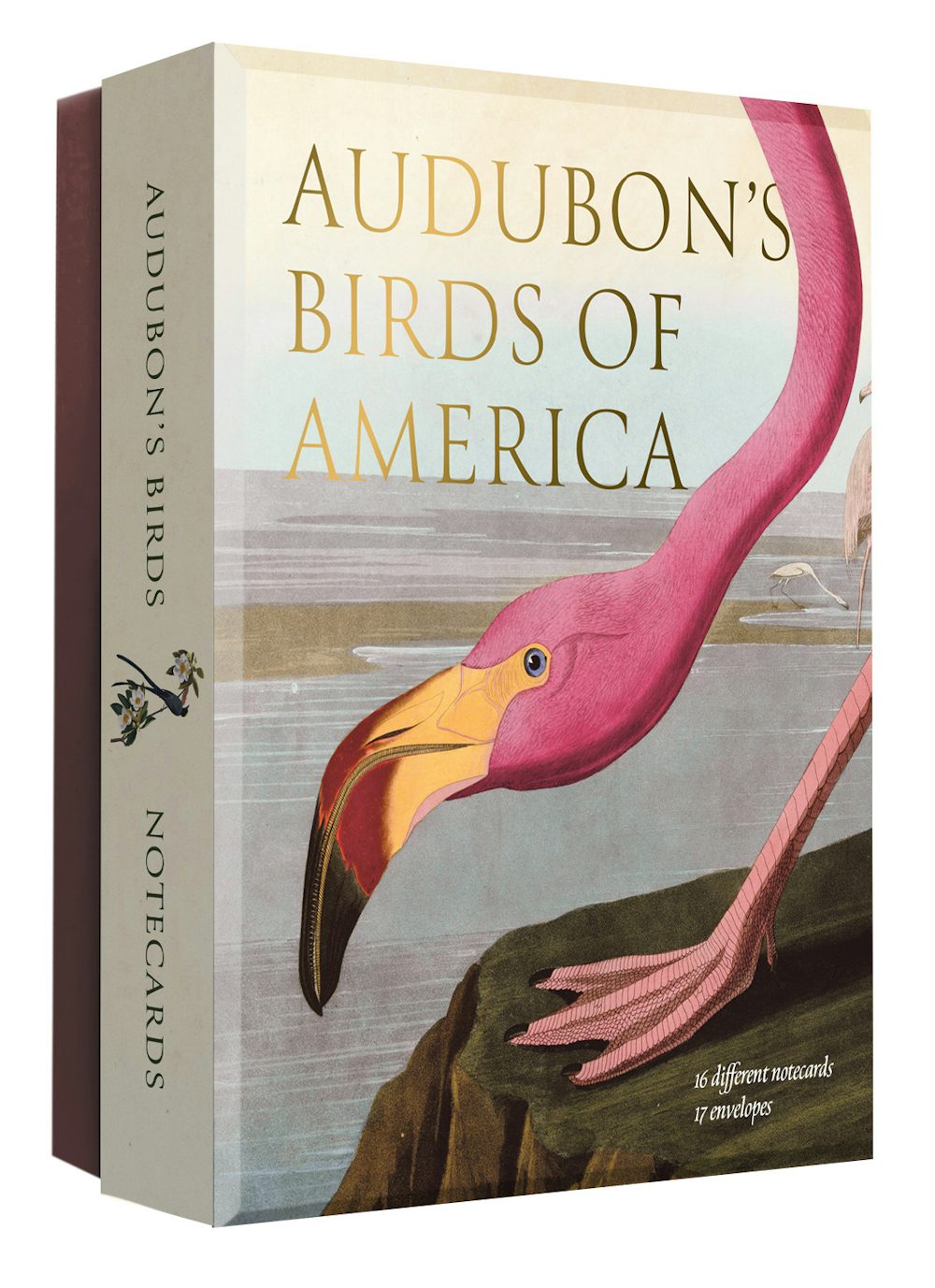 AUDUBON'S BIRDS OF AMERICAS NOTECARD SET
