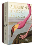 AUDUBON'S BIRDS OF AMERICAS NOTECARD SET