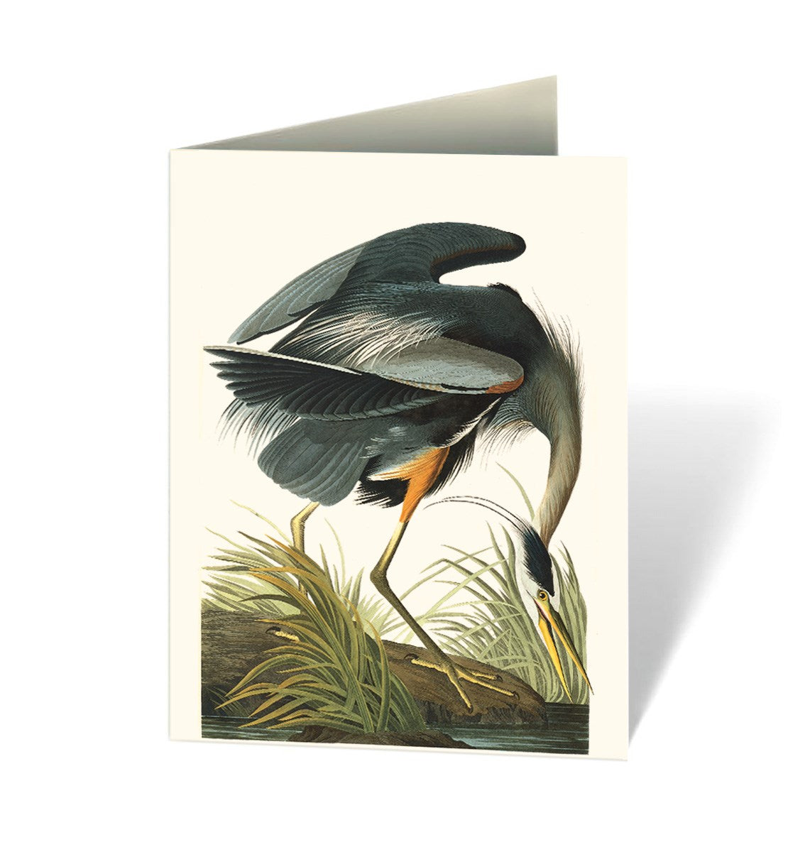AUDUBON'S BIRDS OF AMERICAS NOTECARD SET