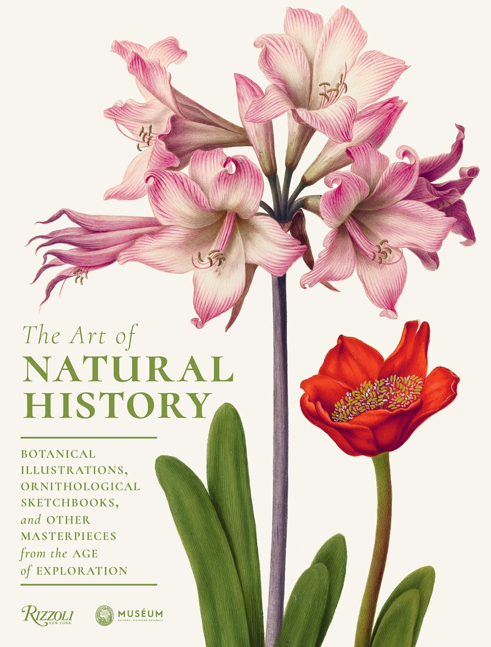 ART OF NATURAL HISTORY