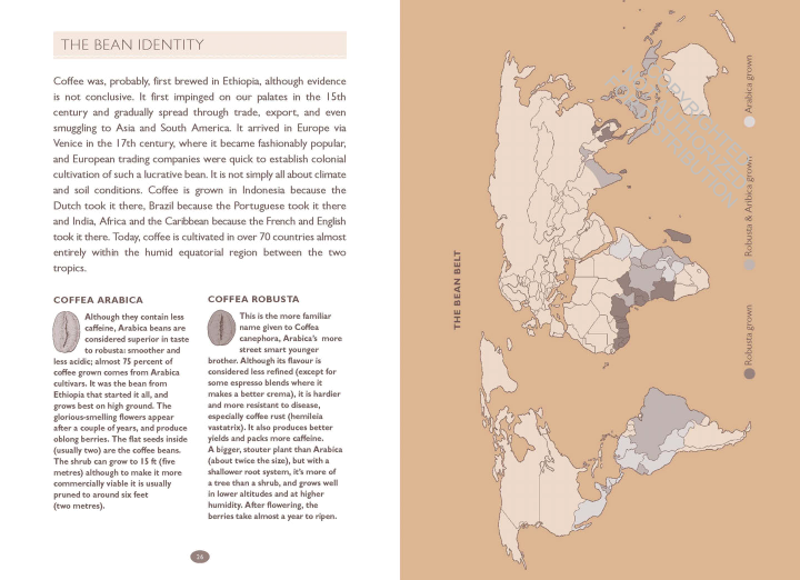 HOW TO MAKE COFFEE: THE SCIENCE BEHIND THE BEAN