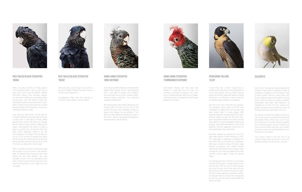 BIRD LOVE