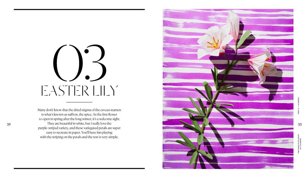 EXQUISITE BOOK OF PAPER FLOWER TRANSFORMATIONS