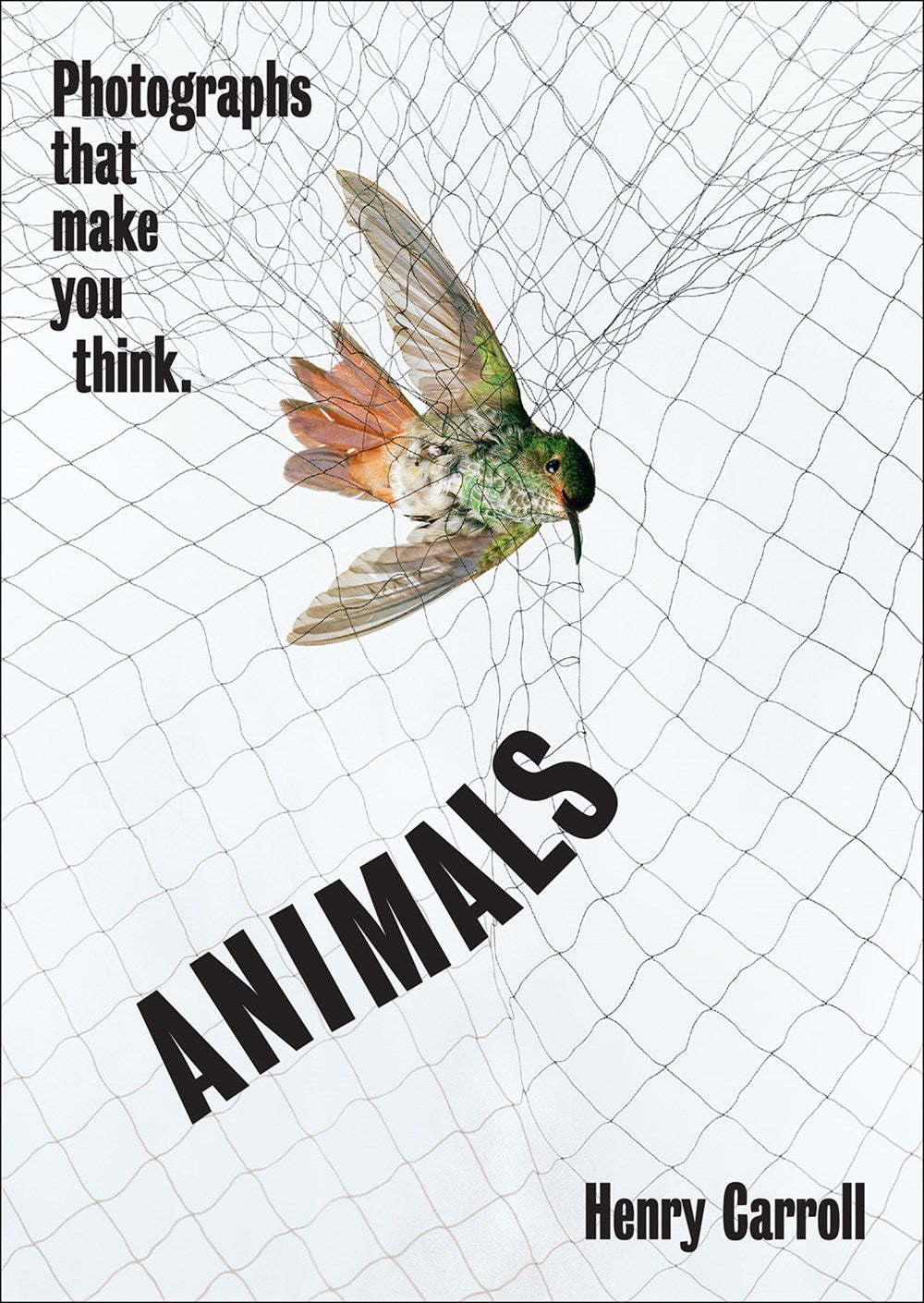 ANIMALS: PHOTOGRAPHS THAT MAKE YOU THINK