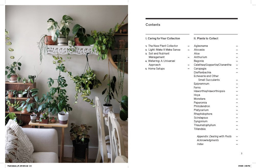 THE NEW PLANT COLLECTOR