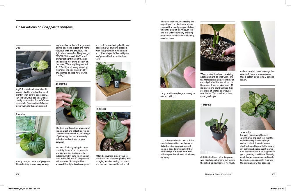 THE NEW PLANT COLLECTOR