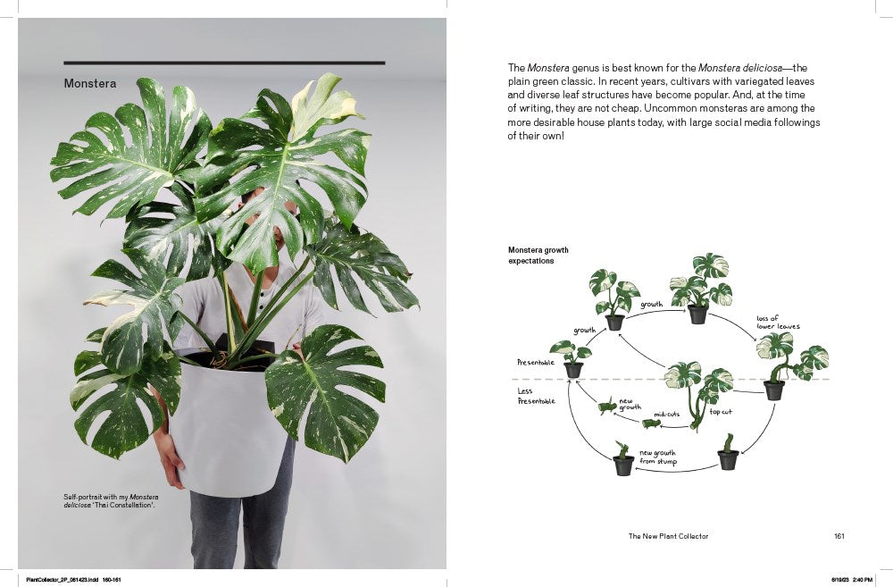 THE NEW PLANT COLLECTOR