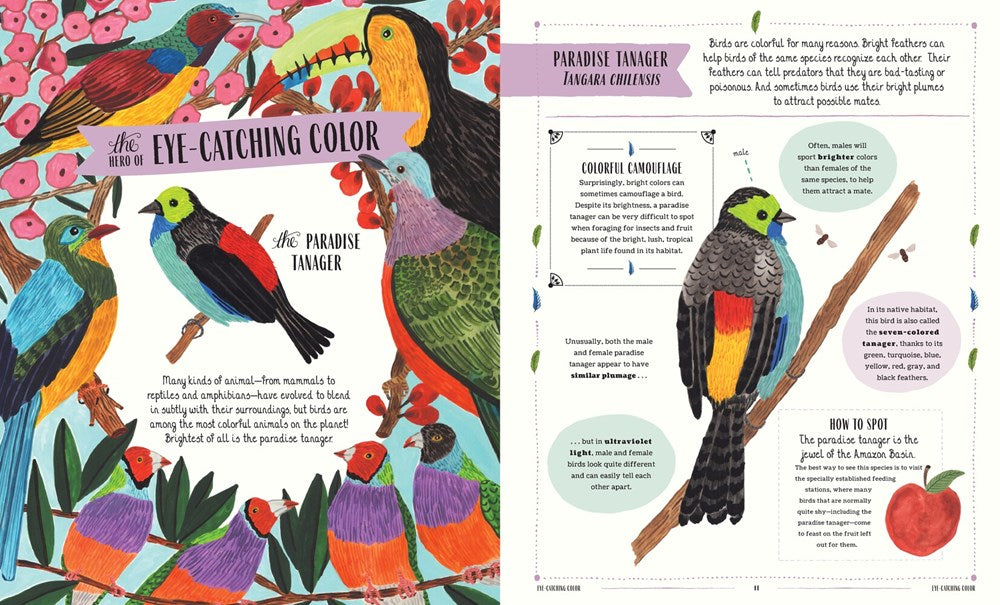 FLY: A FAMILY GUIDE TO BIRDS AND HOW TO SPOT THEM