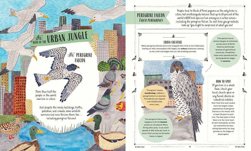 FLY: A FAMILY GUIDE TO BIRDS AND HOW TO SPOT THEM