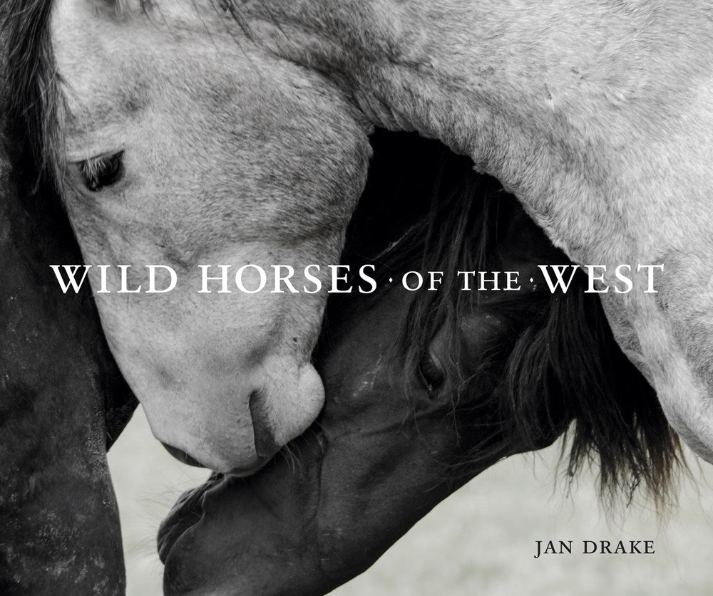 WILD HORSES OF THE WEST