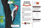 KID'S GUIDE TO BACKYARD BIRDS