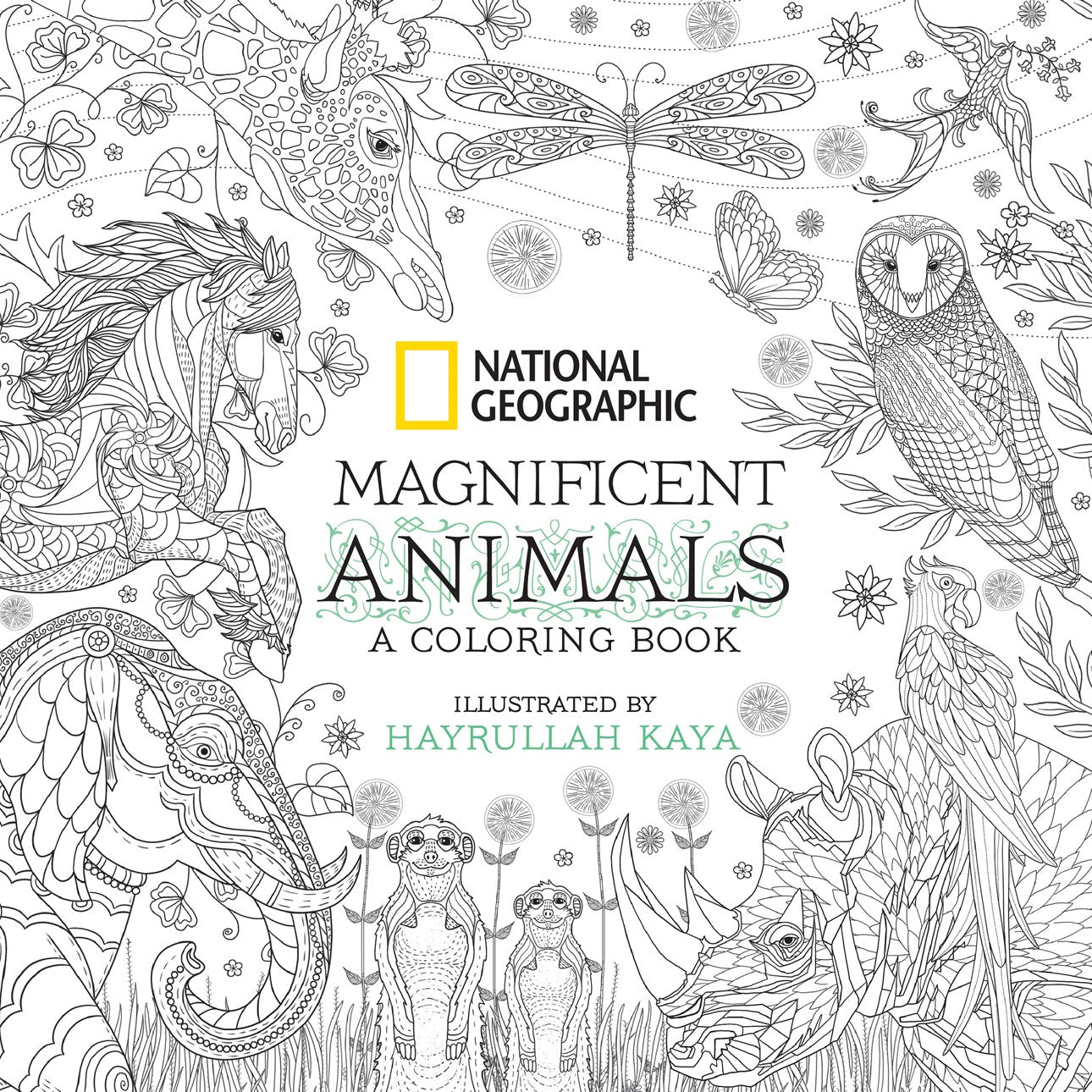 NATIONAL GEOGRAPHIC MAGNIFICIENT ANIMALS: A COLORING BOOK