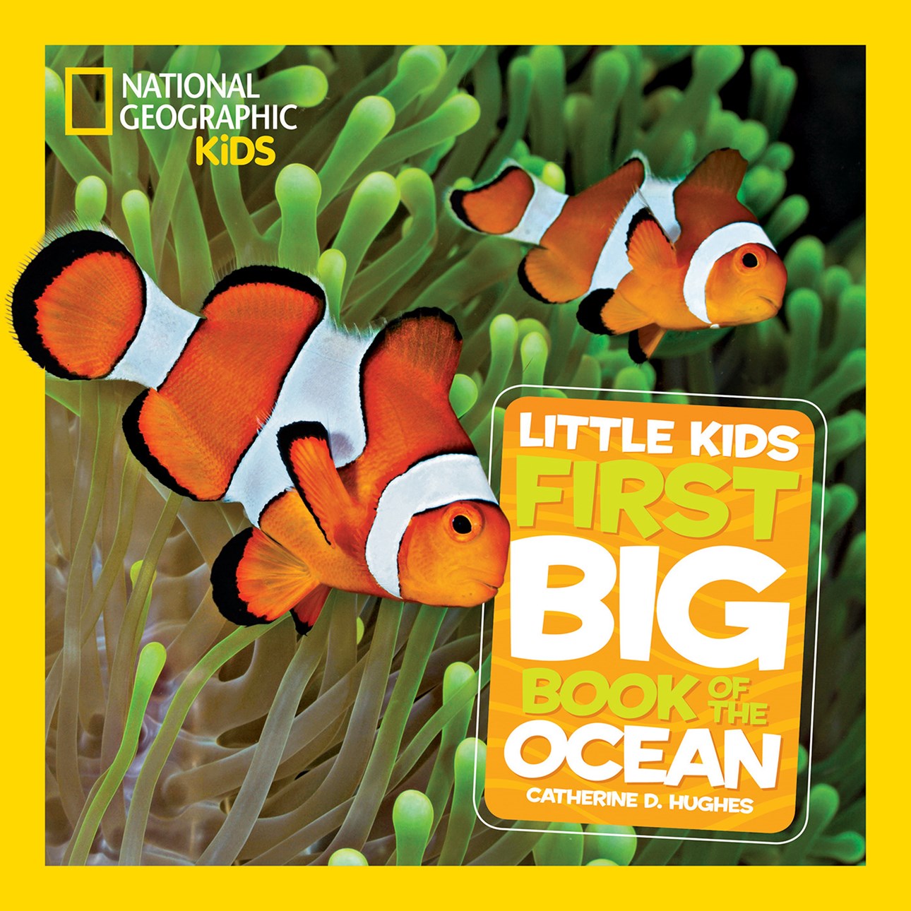 NATIONAL GEOGRAPHIC LITTLE KIDS FIRST BOOK OF THE OCEAN