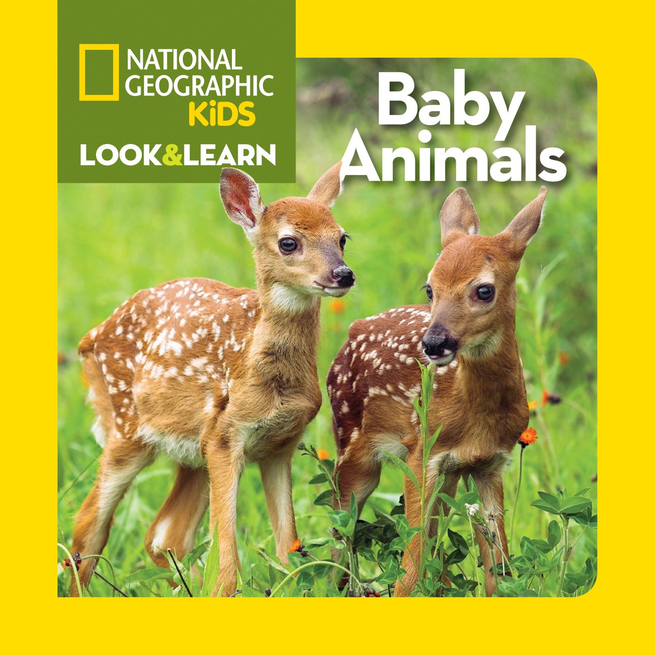 NATIONAL GEOGRAPHIC KIDS LOOK & LEARN: BABY ANIMALS