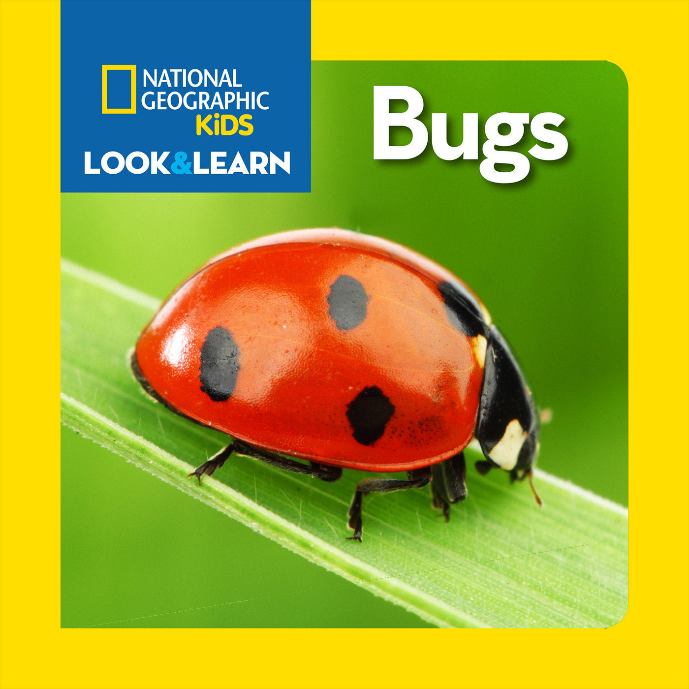 NATIONAL GEOGRAPHIC KIDS LOOK & LEARN: BUGS