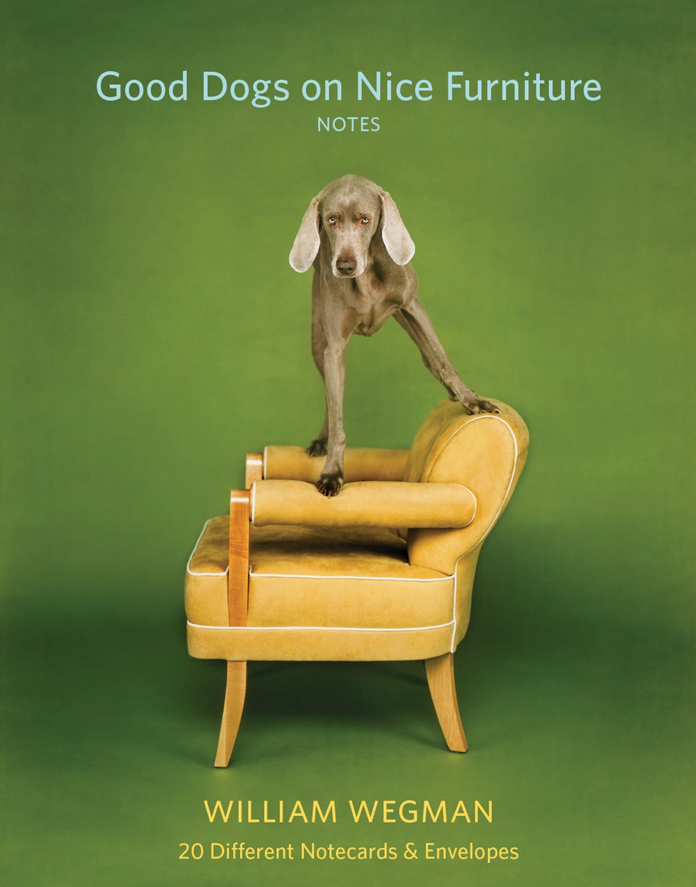 GOOD DOGS ON NICE FURNITURE NOTECARDS