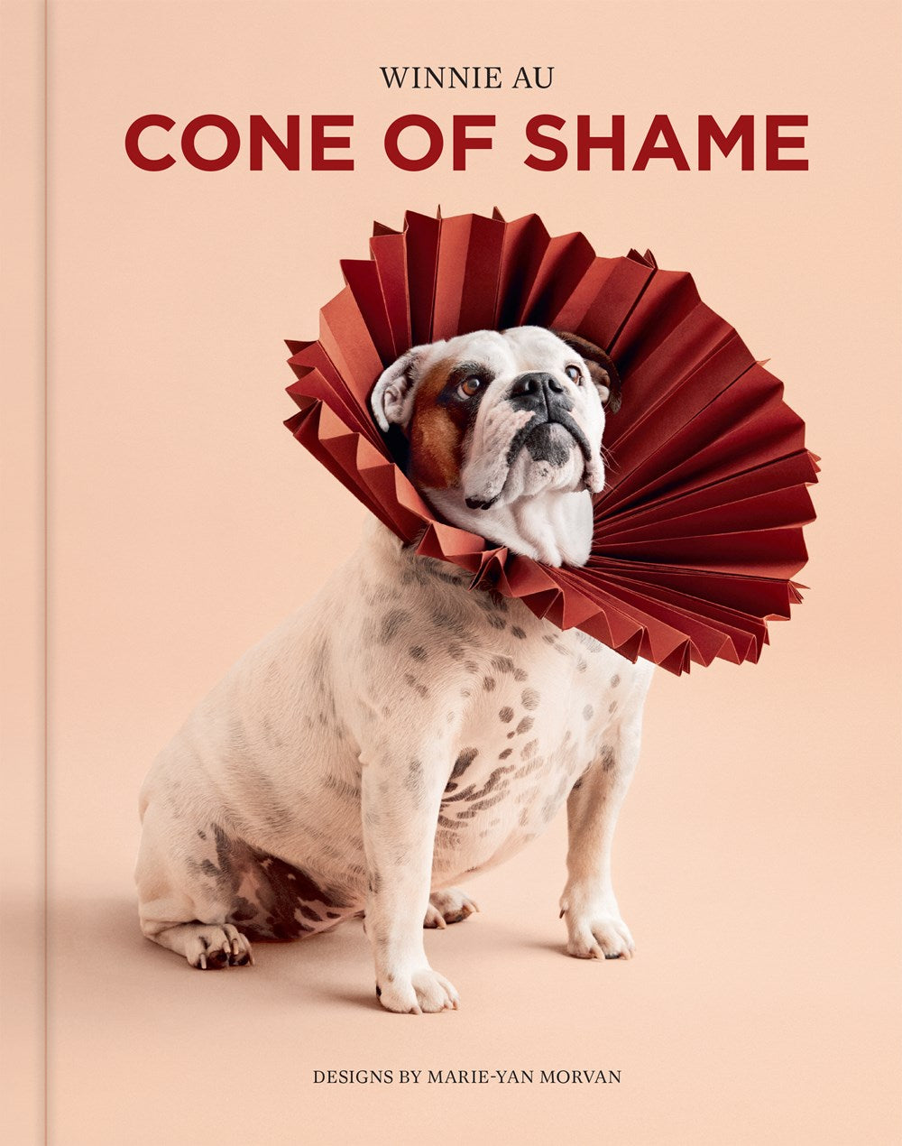 CONE OF SHAME
