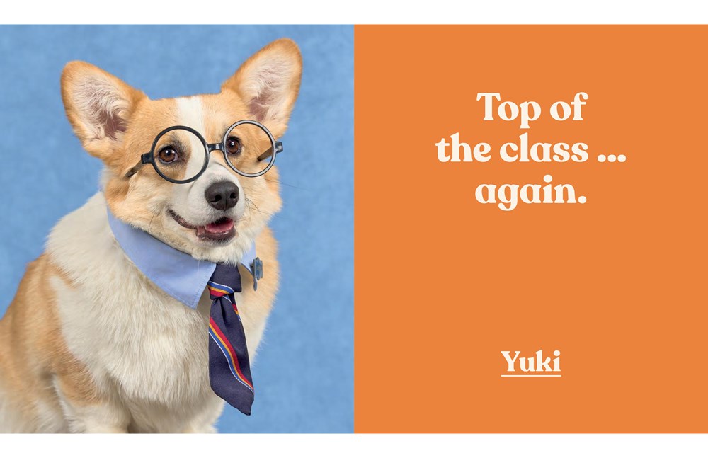 WELL-DRESSED DOGS: A CELEBRATION OF CANINE COUTURE