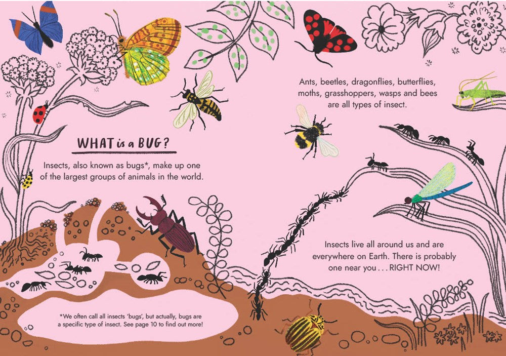 HELLO BUGS: A LITTLE GUIDE TO NATURE