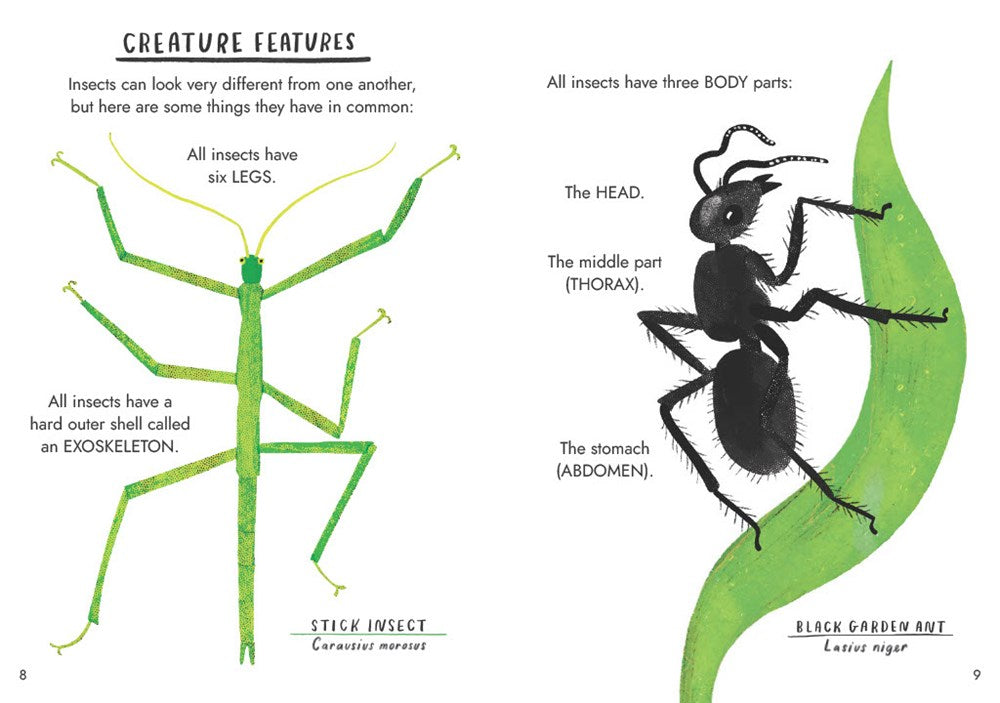 HELLO BUGS: A LITTLE GUIDE TO NATURE