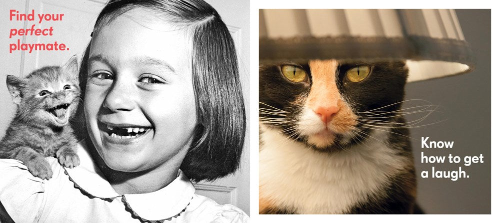 REALLY IMPORTANT STUFF MY CAT HAS TAUGHT ME