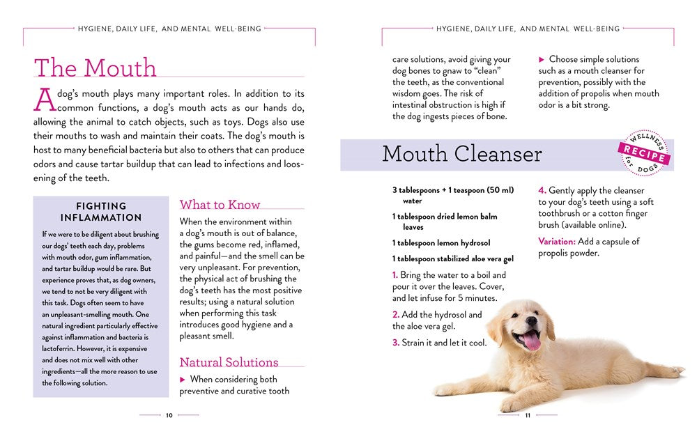 WELLNESS FOR DOGS