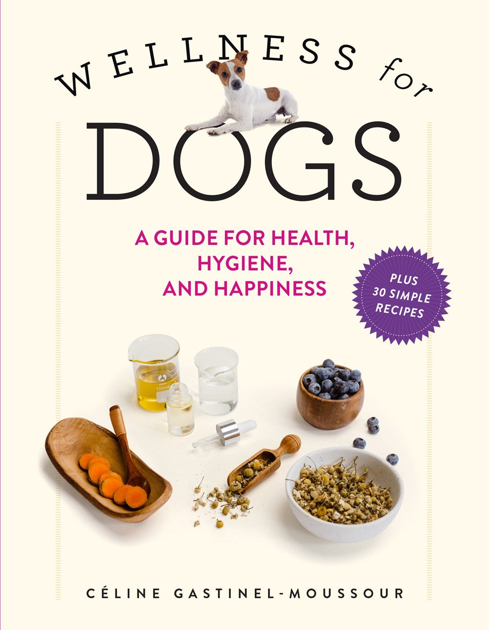 WELLNESS FOR DOGS