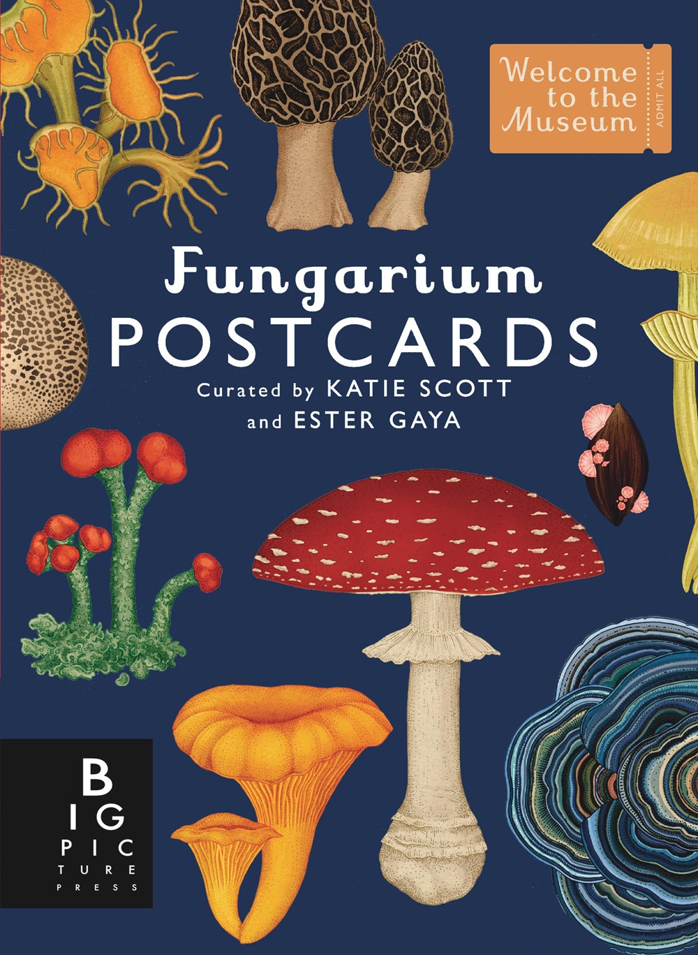 FUNGARIUM POSTCARD BOX SET