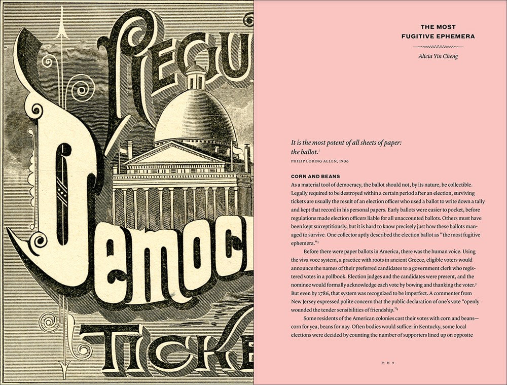 THIS IS WHAT DEMOCRACY LOOKED LIKE: A VISUAL HISTORY