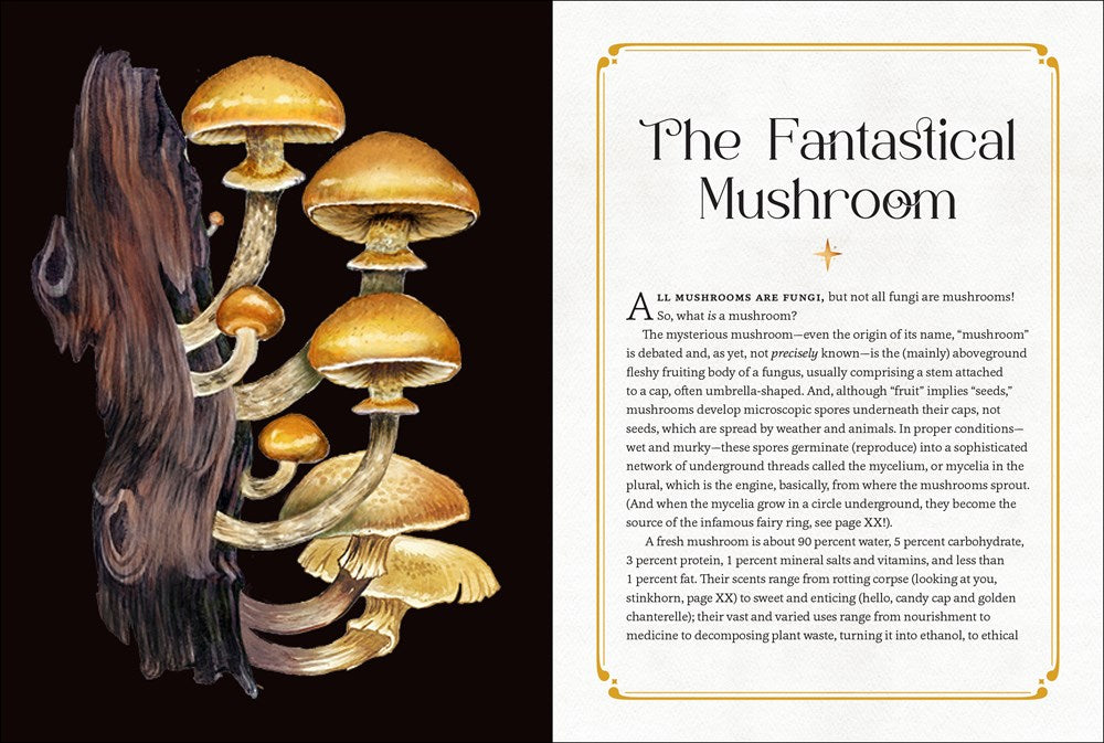 MYSTICAL MUSHROOMS: DISCOVER THE MAGIC & FOLKLORE OF FANTASTIC FUNGI